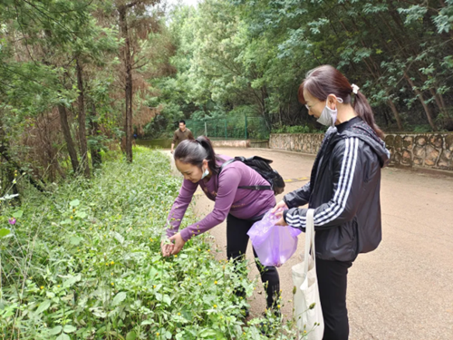 志愿服务情,奉献我先行——长虫山志愿者活动(修改版)227.png 志愿服务情,奉献我先行——长虫山志愿者活动(修改版)227.png