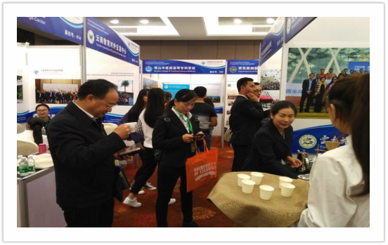 云南省教育对外开放成就展1.png